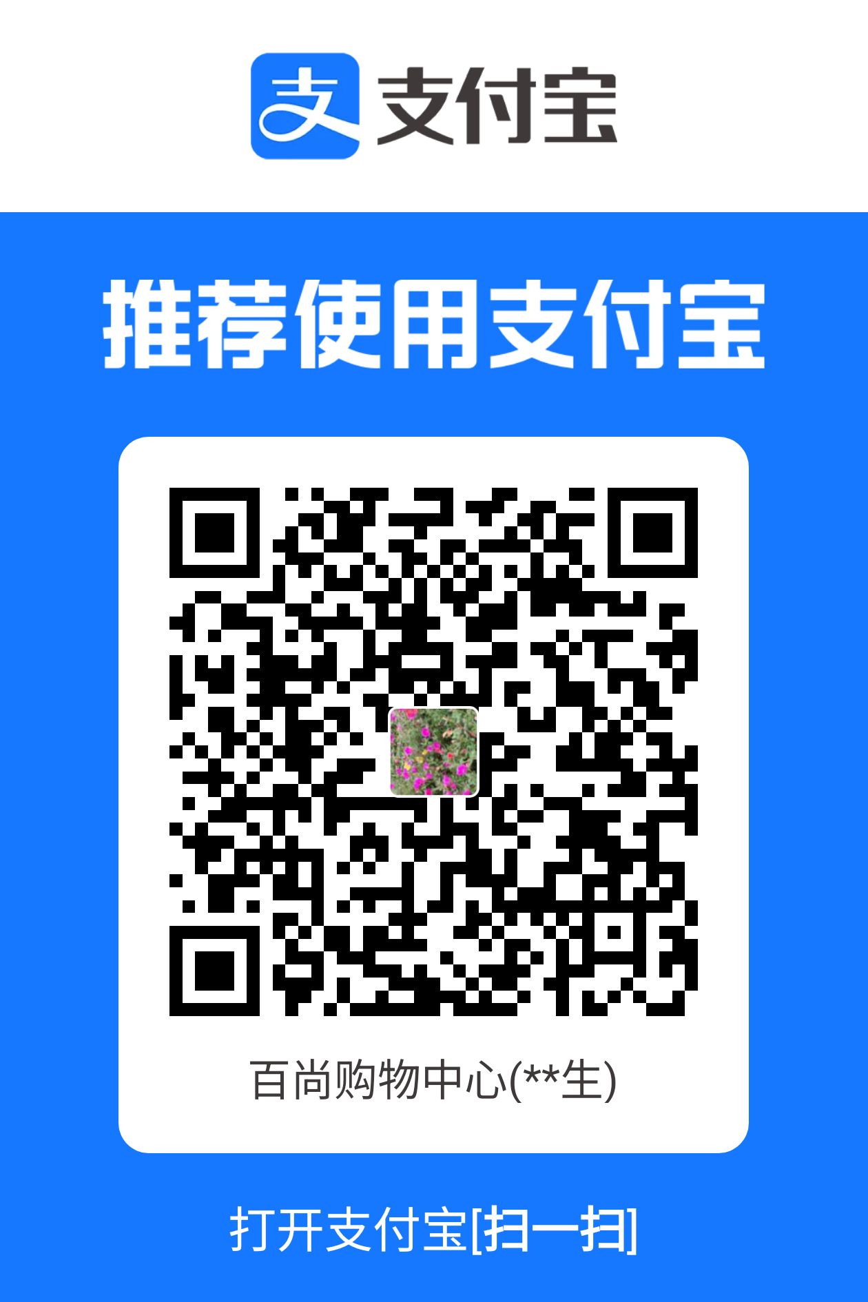 支付宝付款