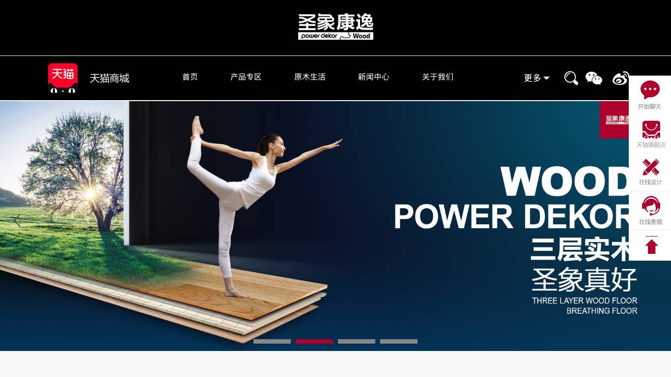 圣象康逸