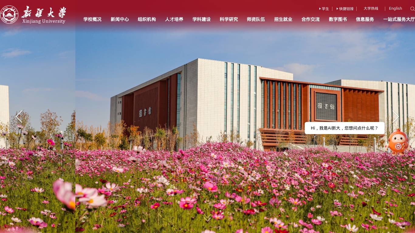 新疆大学